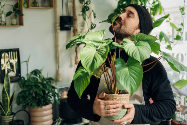 istock He loves his plants 1454421381
