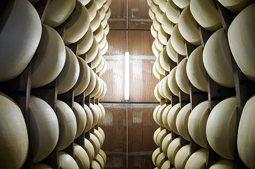 dop Typical italian cheese Parmigiano Reggiano (parmesan)