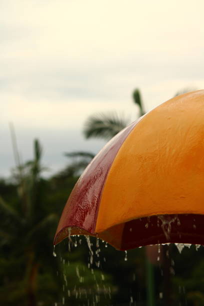 istock Colored Umbrella and Rain 1454422619