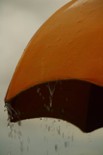 istock Yellow Umbrella with Falling Raindrops 1454424431