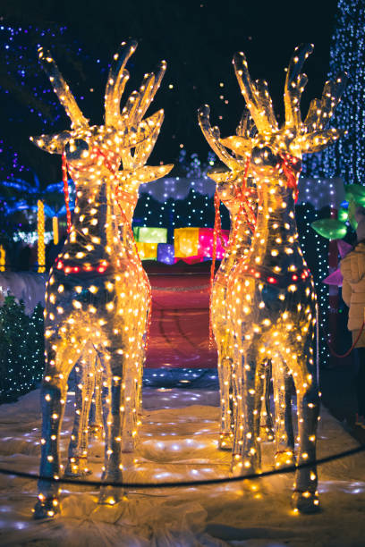 istock Leggiuno Christmas lights decorations 1454424467