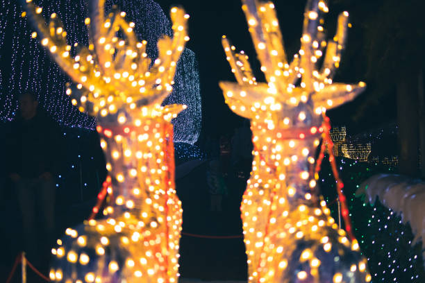 istock Leggiuno Christmas lights decorations 1454425198