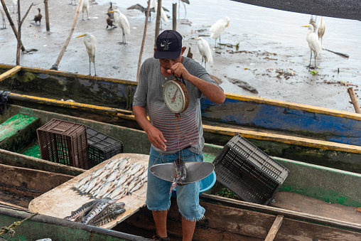 Typical fish vendor on the banks of the Magdalena river. Barrancabermeja. Colombia. June 7, 2022.