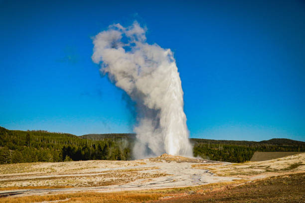 istock Old Faithful Geyser 1454425734
