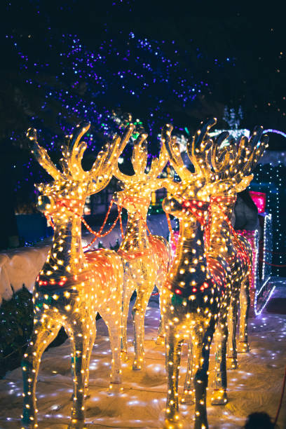 istock Leggiuno Christmas lights decorations 1454425939