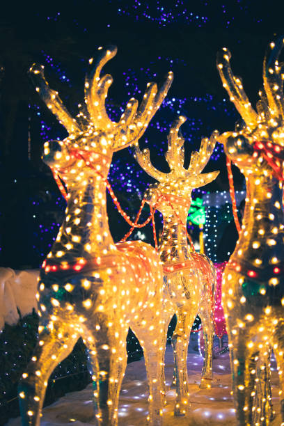 istock Leggiuno Christmas lights decorations 1454427078