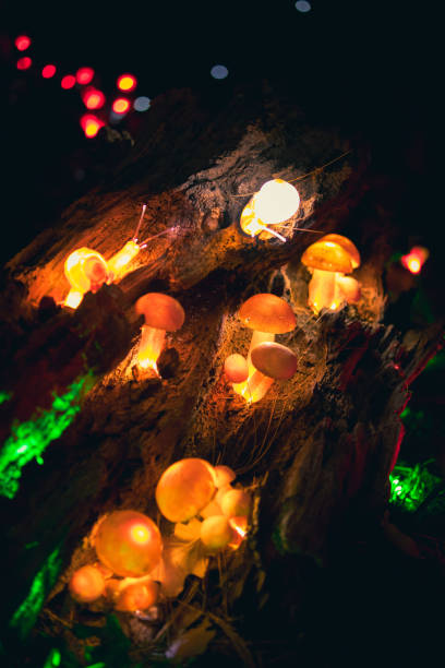 istock Leggiuno Christmas lights decorations 1454428664