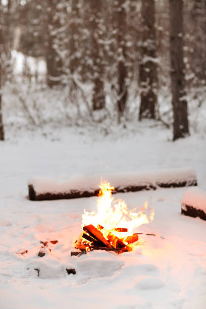 Bright bonfire burning on snowy ground near logs in winter evening in woods