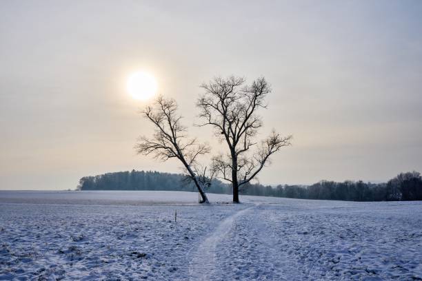 freezing cold winter lanscape in Germany