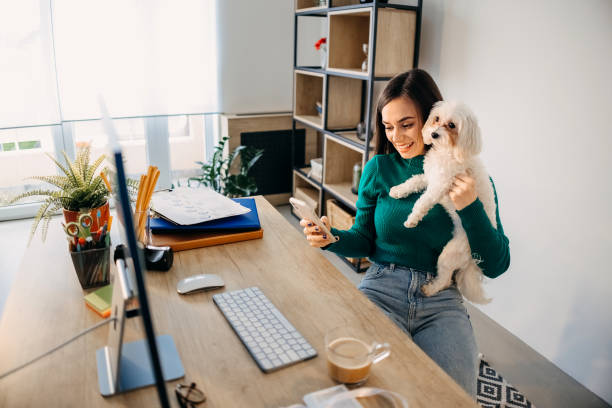 istock Young beautiful woman working from home 1454430854