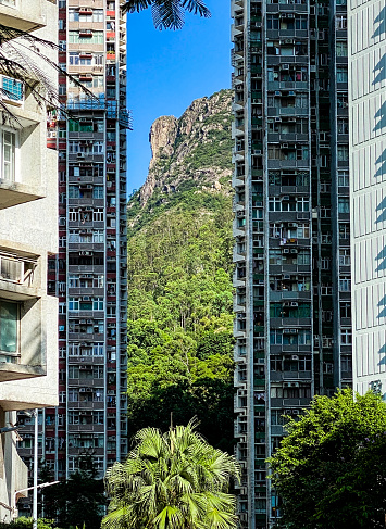 A vertical shot of the Lion Rock Peak seen through the modern skysrapers in Hong Kong