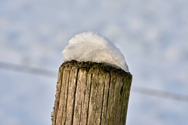 freezing winter 2022 2023 in Germany