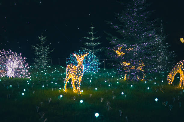 Christmas lights decorations in Leggiuno city, “Lucine di natale”