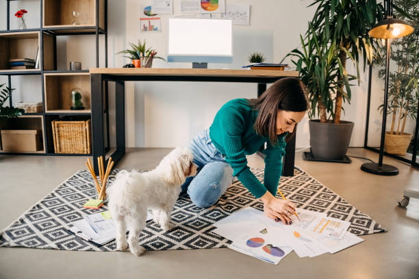 istock Young woman working from home 1454431669