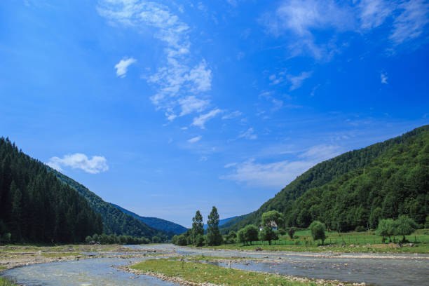 River in a rural mountain area on a sunny day, mountain slopes covered with trees. Sharpness in the center