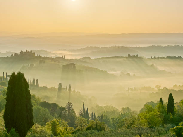 이탈리아의 토스카나 지역 - italy landscape tuscany retro revival 뉴스 사진 이미지
