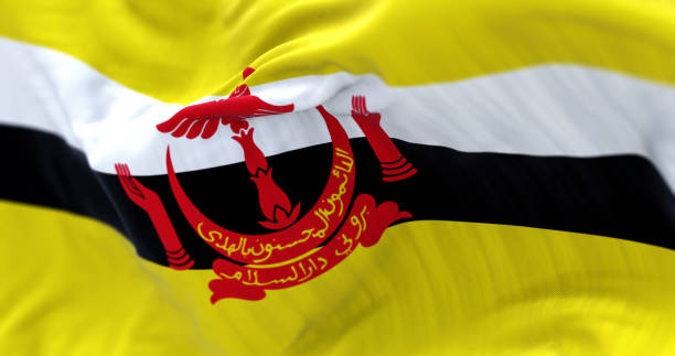 風に揺れるブルネイの国旗のクローズアップ風景 - brunei flag ストックフォトと画像