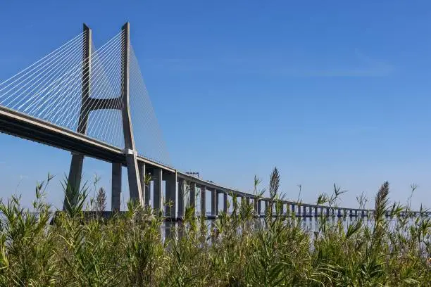Photo of Landscape in a beautiful day at Vasco of Gama Bridge