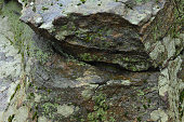 Wet schist with lichen