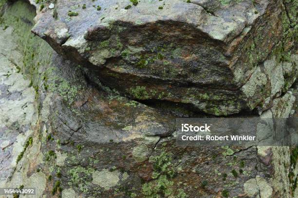 Wet Schist With Lichen Stock Photo - Download Image Now - Abstract, Algae, Ancient