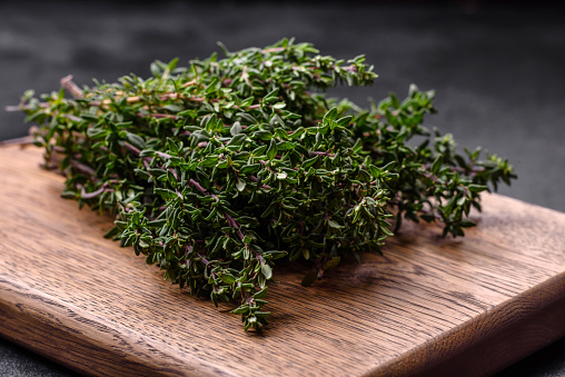 Bunch of fresh picked thyme on a dark concrete background. Spices and herbs for cooking meat