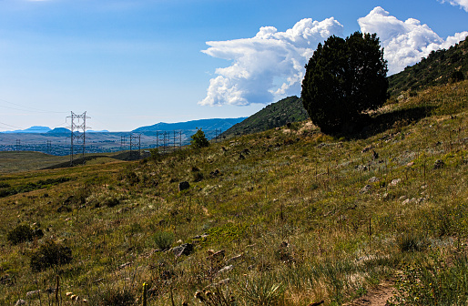 Landscape of white cumulus clouds, blue sky, green Dakota Hogback and pine tree in Jefferson County, Colorado