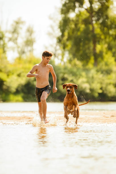 istock Boy playing with dog at beach on sunny day 1454453023