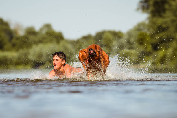 Boy having fun with dog playing at river beach on sunny day