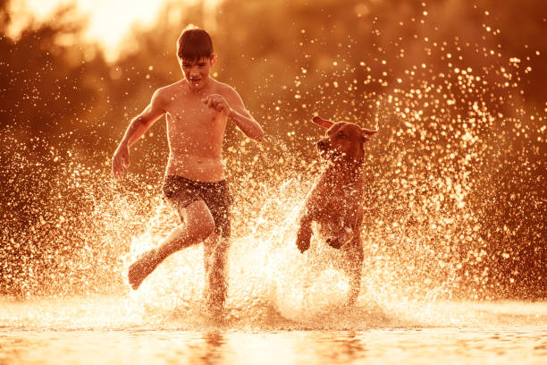 istock Boy running with dog at beach at summer sunset 1454453679