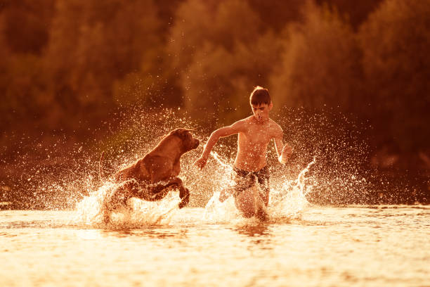 istock Boy running with dog at beach at summer sunset 1454453683