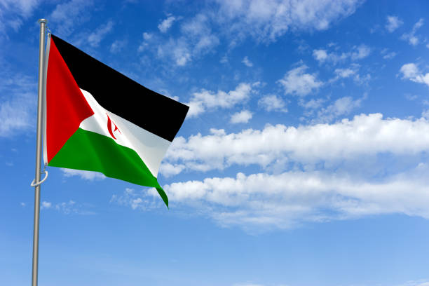 istock Sahrawi Arab Democratic Republic Flag Over Blue Sky Background. 3D Illustration 1454454033