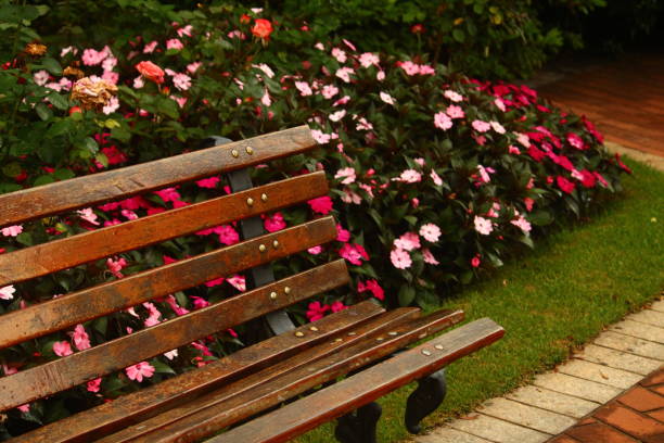 istock Wooden Bench in Flower Garden 1454456367