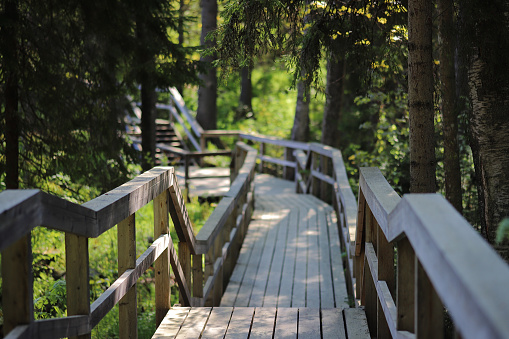 Bridge walkway made of wood in the northen forest.