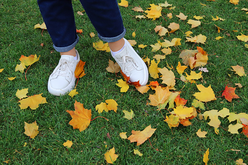 Female legs in white sneakers on the background of yellow autumn leaves