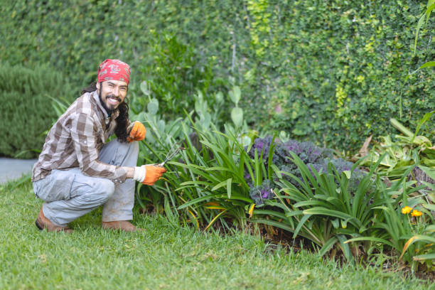 istock Smiling gardener in the courtyard looking at the camera 1454458243