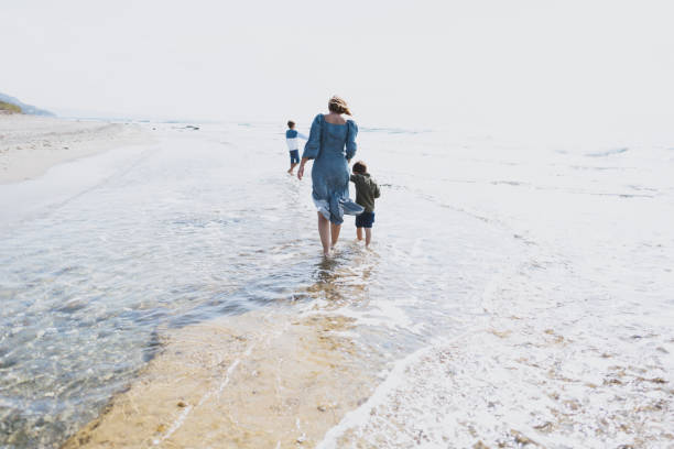 istock Spending sunny autumn day at the beach 1454460754