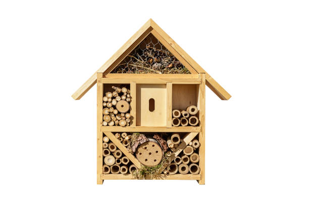 istock Insect hotel isolated on a white background 1454463547