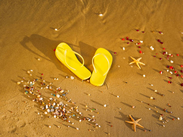 istock Yellow beach slippers standing on the beach. 1454465751