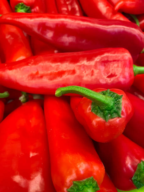 vários pimentões vermelhos dispostos em uma prateleira - pepper bell pepper market spice - fotografias e filmes do acervo