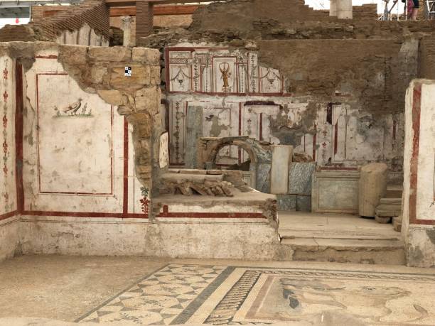 Terrace Houses