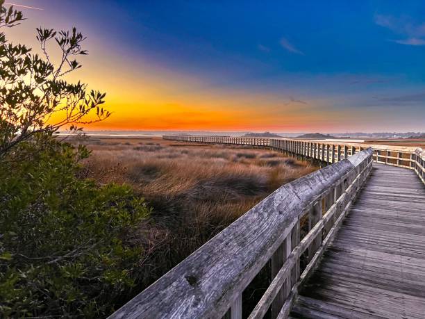 istock Wooden pier facing the horizon during the sunset 1454468077