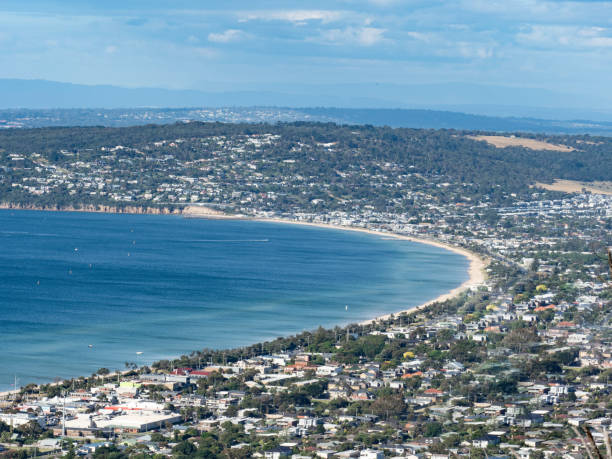 istock High angle view of beach suburbs 1454468531
