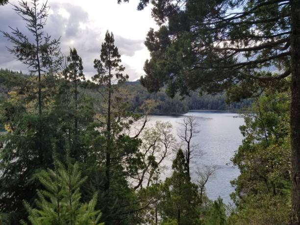 Beautiful landscape of mountains and lake in san Martín de los Andes Amazing landscape in patagonia Argentina lácar lake photos stock pictures, royalty-free photos & images