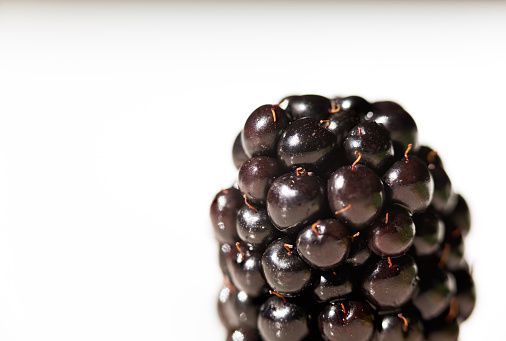 Closeup of blackberry
