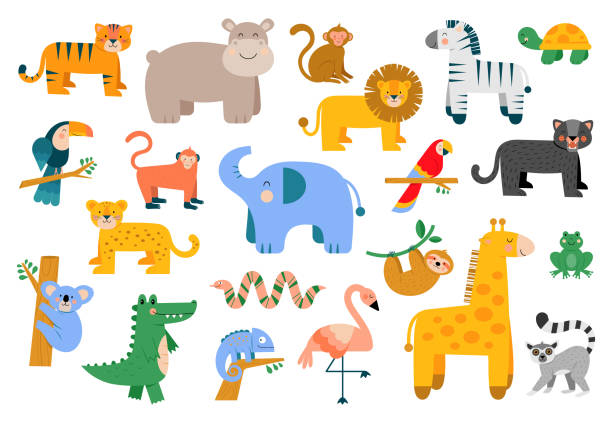 illustrations, cliparts, dessins animés et icônes de ensemble d’animaux mignons de la jungle. - maki