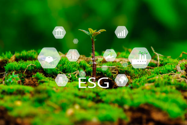 istock CO2 reduction concept. Hand planting trees with environmental icons. Global warming. Sustainable development. solar power and green business, renewable energy, sustainability in the future, ESG 1454494527