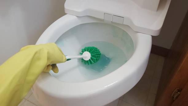 istock Cleaning toilet bowl 1454494782
