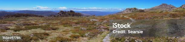 Panorama Of Snowy Mountains Landscape In Australia Stock Photo - Download Image Now - Footpath, Forest, Australia