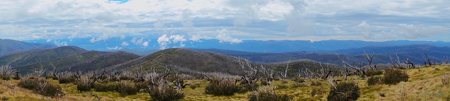 Panorama of snowy mountains landscape in Australia showing trees and mountains that were burnt in bush fires with regeneration and pretty clouds.