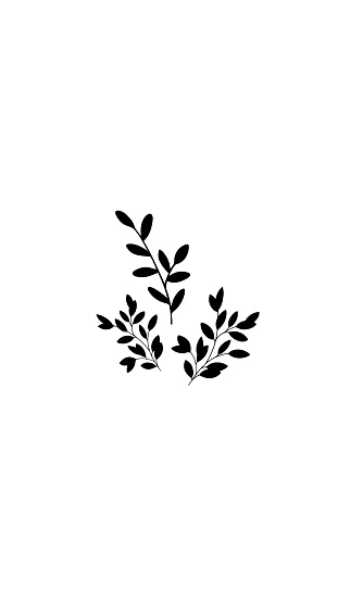 a black and white background with the nuances of a leaf illustration